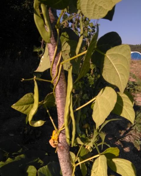 Name:  enberber 2019.jpg
Views: 476
Size:  43.4 KB