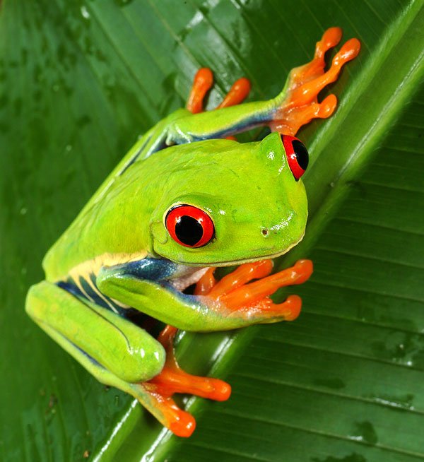 Name:  2710.jpg
Views: 11757
Size:  66.4 KB
