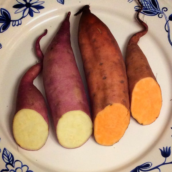 Name:  tatl-patates-beyaz-turuncu.jpg
Views: 445
Size:  58.9 KB