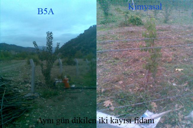 Name:  1-2.jpg
Views: 2630
Size:  45.3 KB