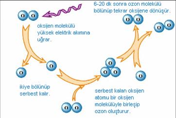 Name:  ozon7.jpg
Views: 5406
Size:  16.0 KB
