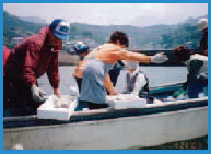 Name:  Picture6.png
Views: 1211
Size:  54.9 KB