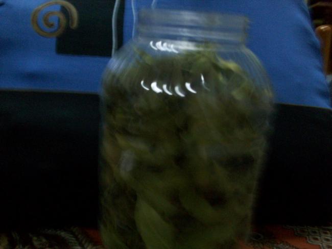 Name:  100_1623.jpg
Views: 2081
Size:  23.1 KB
