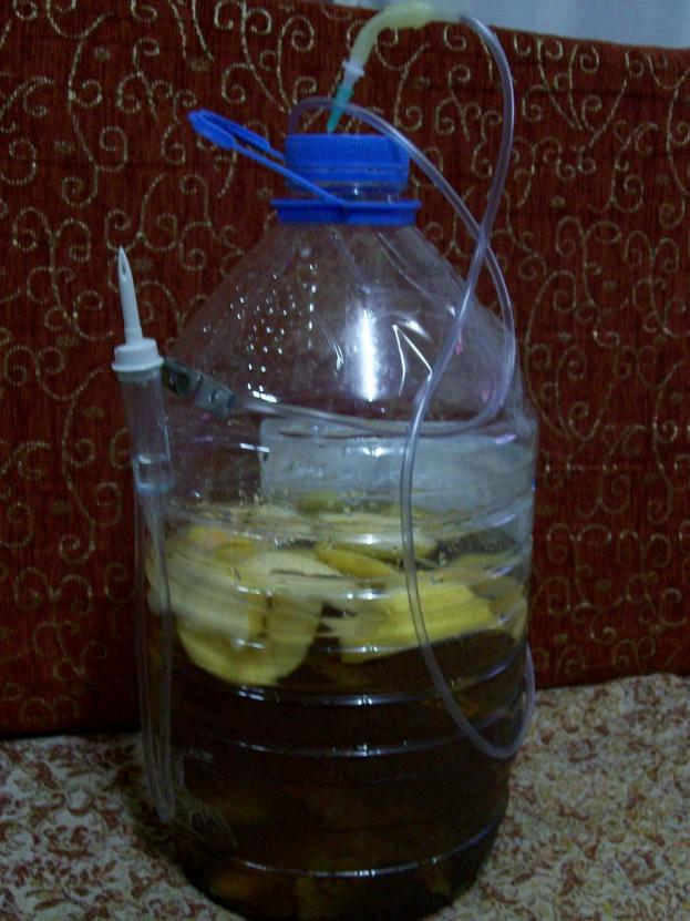 Name:  100_1651.jpg
Views: 3190
Size:  70.2 KB