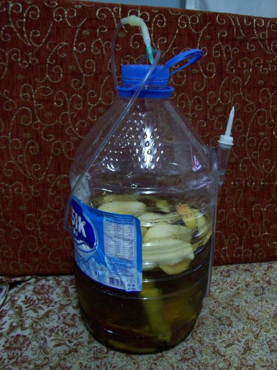 Name:  100_1652.jpg
Views: 2285
Size:  73.7 KB