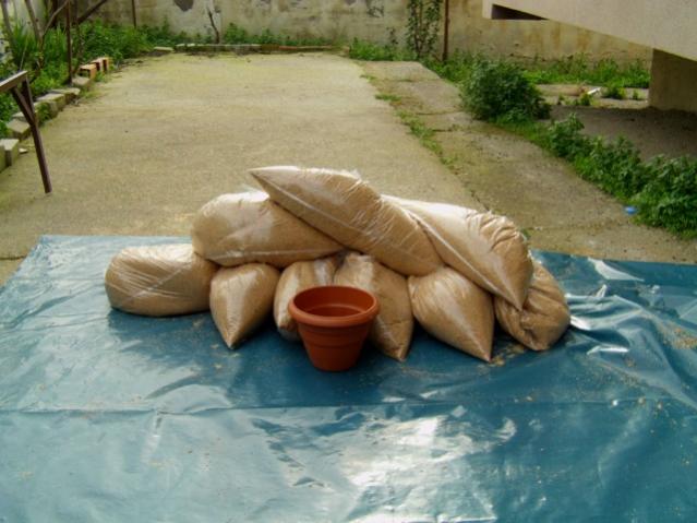 Name:  IMAG0061 [640x480].jpg
Views: 3199
Size:  44.8 KB