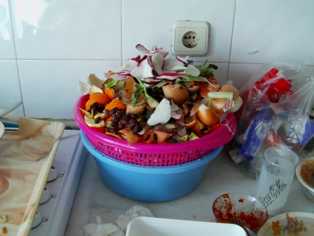 Name:  IMAG0021 [640x480].JPG
Views: 7182
Size:  67.1 KB