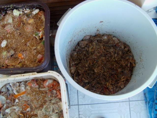 Name:  IMAG0004 [640x480].jpg
Views: 3096
Size:  47.9 KB