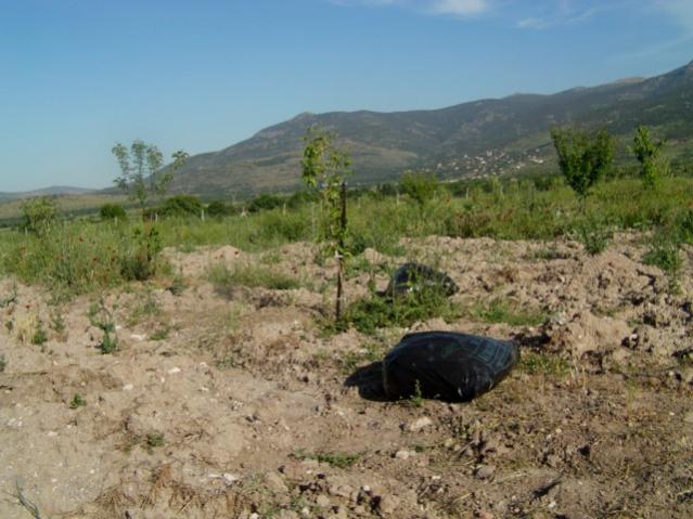 Name:  kom2 (5) [640x480].jpg
Views: 1980
Size:  51.1 KB