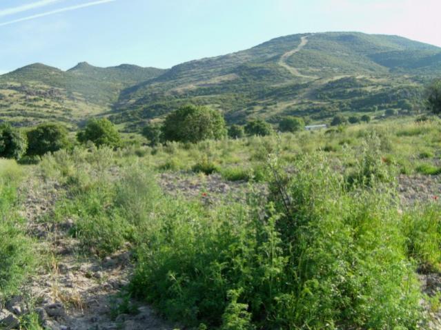 Name:  kom2 (7) [640x480].jpg
Views: 2084
Size:  58.6 KB