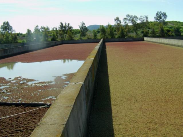 Name:  kom2 (3) [640x480].jpg
Views: 1768
Size:  41.5 KB