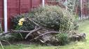 Name:  logs.jpg
Views: 1864
Size:  2.8 KB