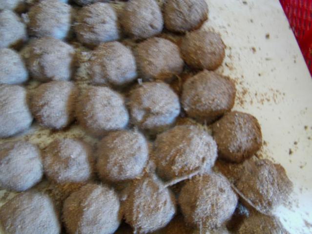 Name:  toplar [640x480].jpg
Views: 6220
Size:  45.3 KB
