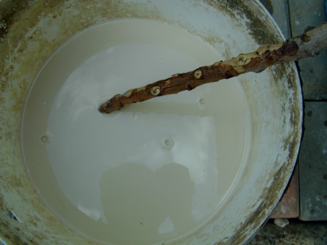 Name:  IMAG0004 [640x480] (2).JPG
Views: 4712
Size:  49.6 KB