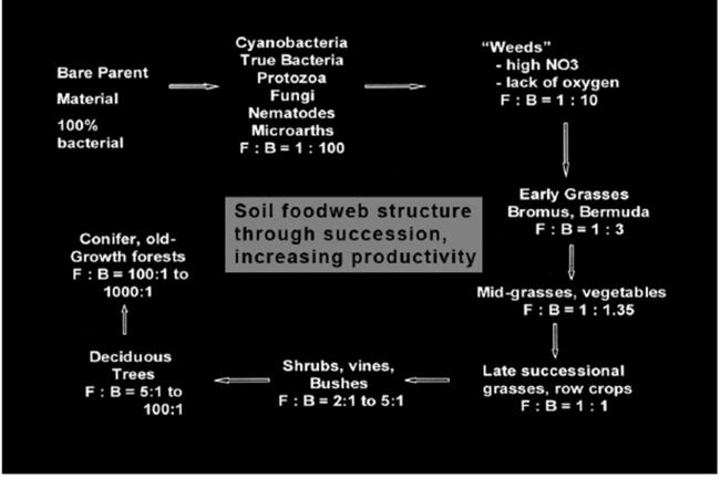 Name:  bakteri_fungi_orani_1.jpg
Views: 6133
Size:  31.5 KB