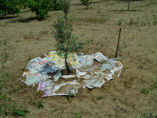 Name:  dosya1 (17) [640x480].jpg
Views: 5748
Size:  60.3 KB