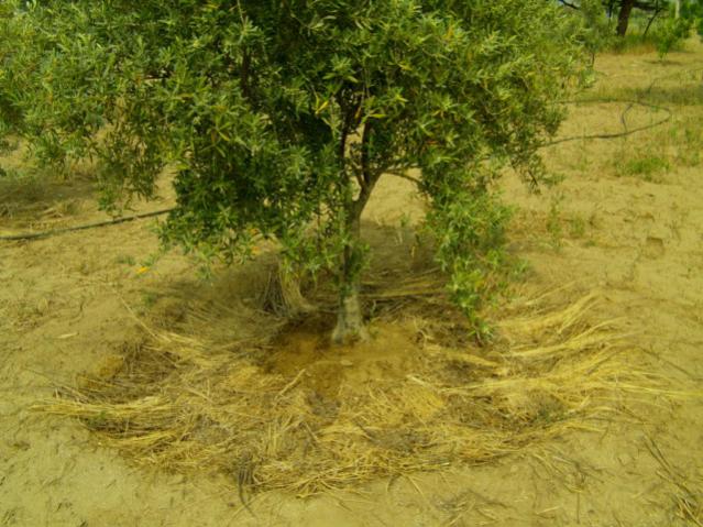 Name:  dosya1 (21) [640x480].jpg
Views: 6065
Size:  62.3 KB