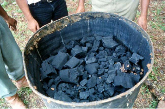 Name:  biochar_1.jpg
Views: 5397
Size:  51.7 KB