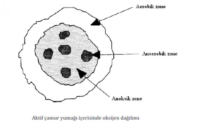 Name:  akitif_camur_3.jpg
Views: 21222
Size:  23.3 KB