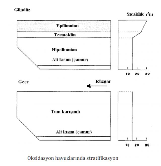 Name:  stratifikasyon.jpg
Views: 20605
Size:  32.7 KB