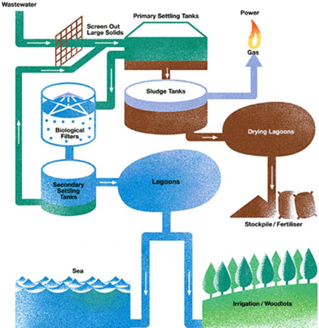 Name:  active_sludge_1.jpg
Views: 19493
Size:  58.6 KB