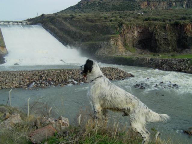 Name:  IMAG0040 [640x480].jpg
Views: 5742
Size:  46.5 KB