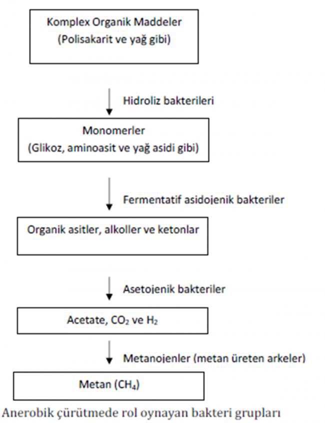 Name:  anaerobik_curutme_1.jpg
Views: 29437
Size:  44.7 KB