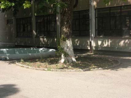 Name:  DSCN7395.JPG
Views: 22221
Size:  36.3 KB