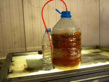 Name:  IMG_0604.JPG
Views: 1388
Size:  22.6 KB