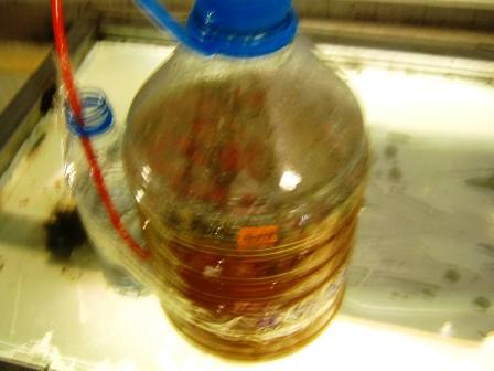 Name:  IMG_0606.JPG
Views: 1311
Size:  21.6 KB