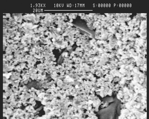Name:  elma_stoma2.jpg
Views: 1776
Size:  64.2 KB