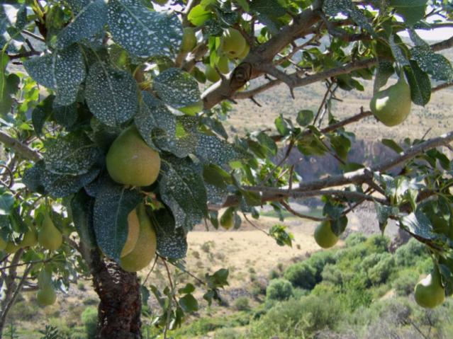 Name:  kaolin (12) [640x480].jpg
Views: 1129
Size:  66.3 KB