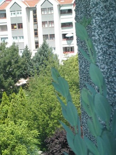 Name:  11.07.JPG
Views: 1085
Size:  69.9 KB