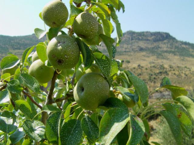 Name:  IMAG0012 [640x480] - Kopya.jpg
Views: 1377
Size:  52.2 KB
