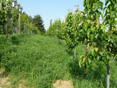 Name:  uygulama_oncesi.jpg
Views: 2470
Size:  50.5 KB