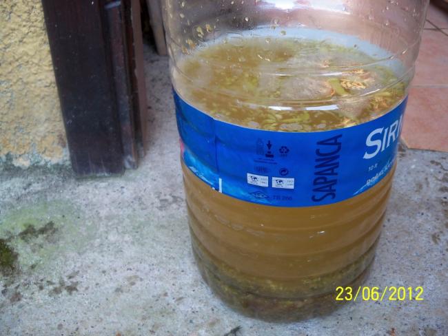 Name:  100_6721.jpg
Views: 1166
Size:  46.2 KB