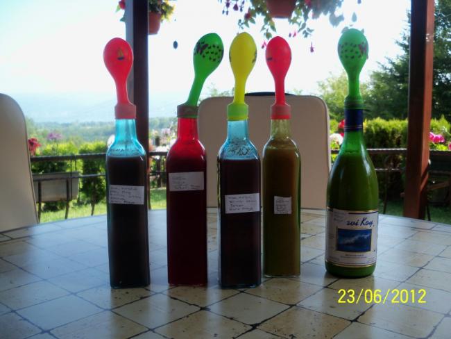 Name:  100_6787.jpg
Views: 1360
Size:  42.3 KB