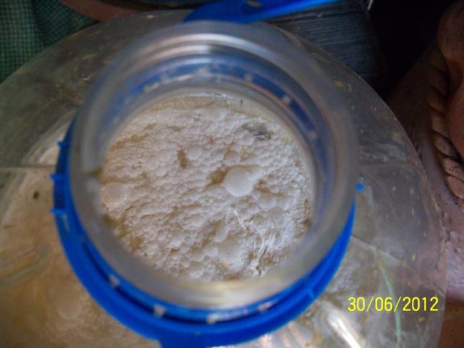 Name:  100_7567.jpg
Views: 1298
Size:  35.1 KB