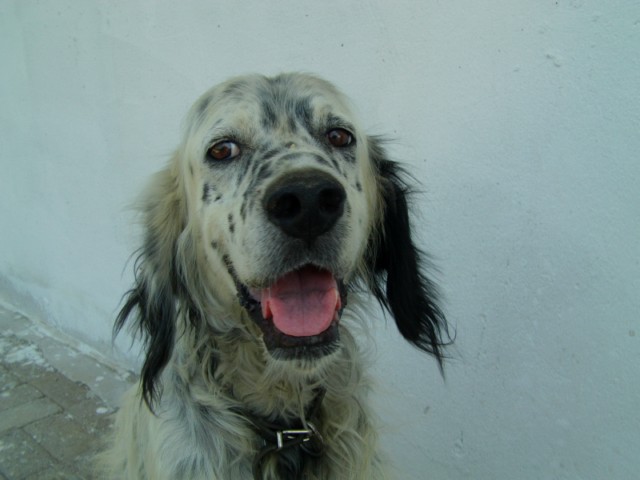 Name:  baevi ve bahe (16).JPG
Views: 1678
Size:  50.8 KB