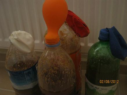 Name:  enzim.JPG
Views: 2459
Size:  29.0 KB