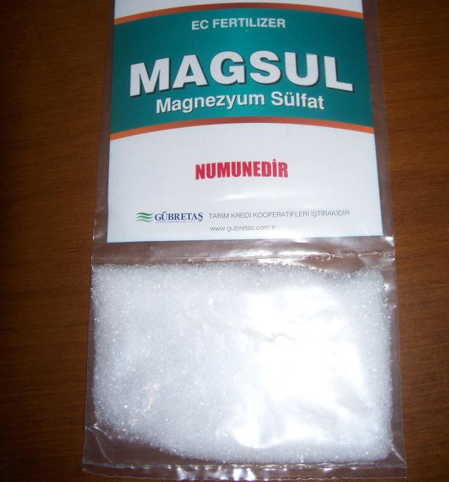 Name:  100_6703.jpg
Views: 5569
Size:  48.5 KB