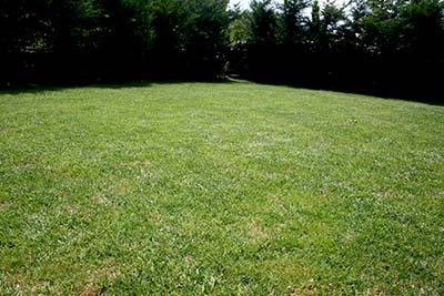 Name:  IMG_2264.jpg
Views: 1968
Size:  53.9 KB