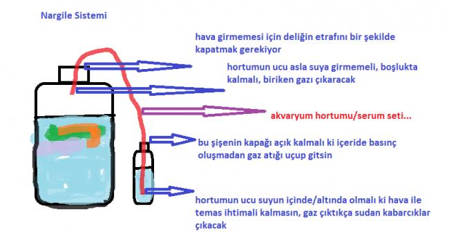 Name:  Nargile.jpg
Views: 642
Size:  31.5 KB