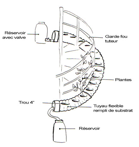 Name:  jardin-colimacon.jpg
Views: 2238
Size:  33.2 KB