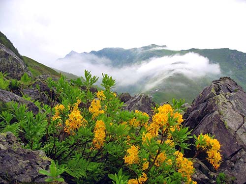 Name:  bogazyurdu.jpg
Views: 3763
Size:  61.9 KB