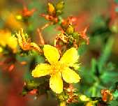 Name:  binbirdelikotu7.jpg
Views: 12459
Size:  5.0 KB