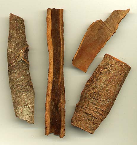 Name:  Cassia_bark.jpg
Views: 2360
Size:  44.2 KB