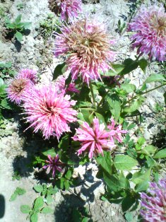 Name:  002.jpg
Views: 4314
Size:  39.1 KB
