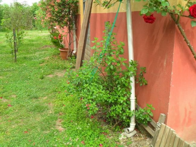 Name:  028.jpg
Views: 2373
Size:  66.7 KB