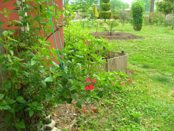 Name:  030.jpg
Views: 2379
Size:  72.0 KB